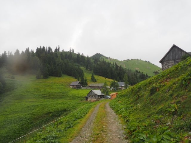 201907 - Abwurfstangenschau Rauschalm